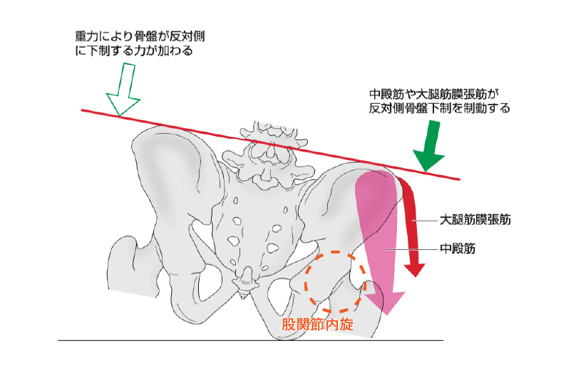 究極の座位側方リーチ（2021年11月号） | 動きと痛みLab